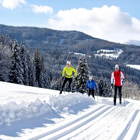 Near Skiing アパート Turracher Hohe
